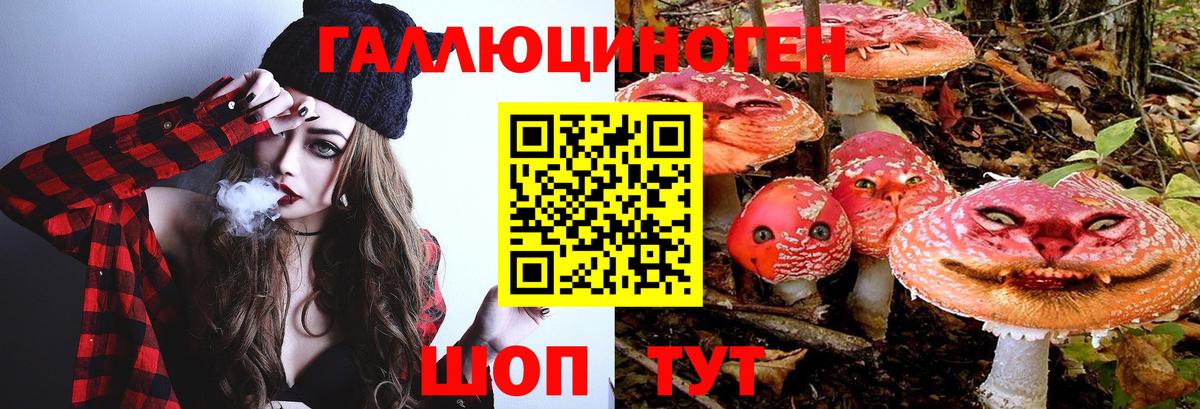Галлюциногенные грибы мухоморы Южноуральск