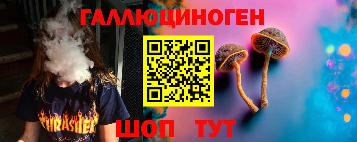 Псилоцибиновые грибы Psilocybe  Вход с VPN  Галлюциногенные грибы GOLDEN TEACHER  Южноуральск 